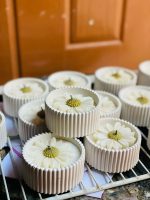 Concrete Candle (with daisy) - Image 2